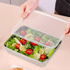 Stainless Steel Storage Plate, Baking Tray, Non Stick Baking Pan Food Storage Box with Cover Pan